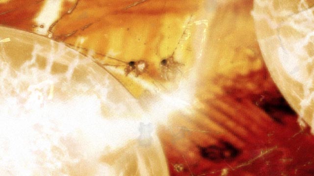 Zed games - Animation commercials screenshot