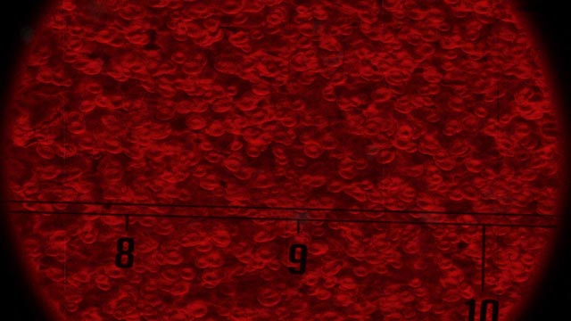 Zed games - Animation commercials screenshot